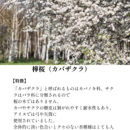 「木目の詩」