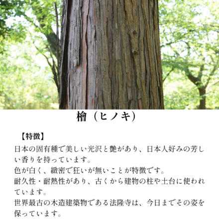 「未来への懸け橋」