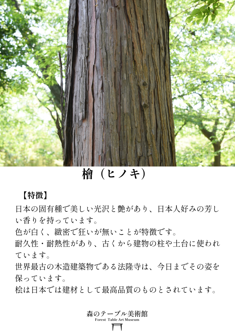 「未来への懸け橋」