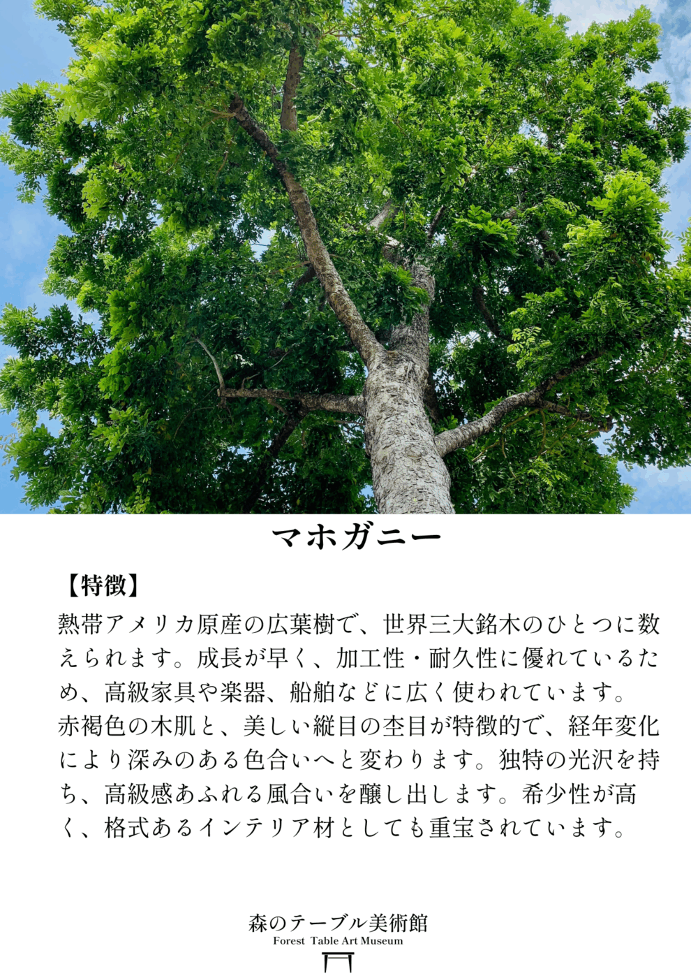 「優雅のしるし」