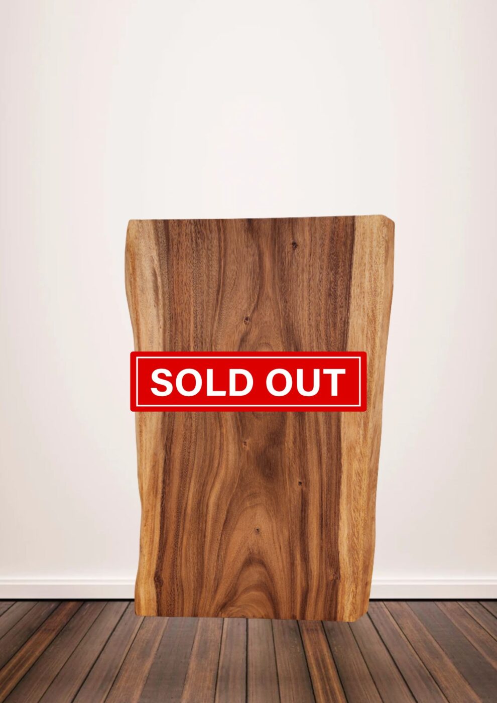 「手のひらの未来」