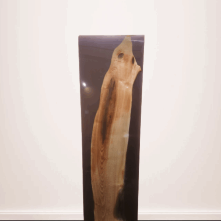 「静寂の魚影」