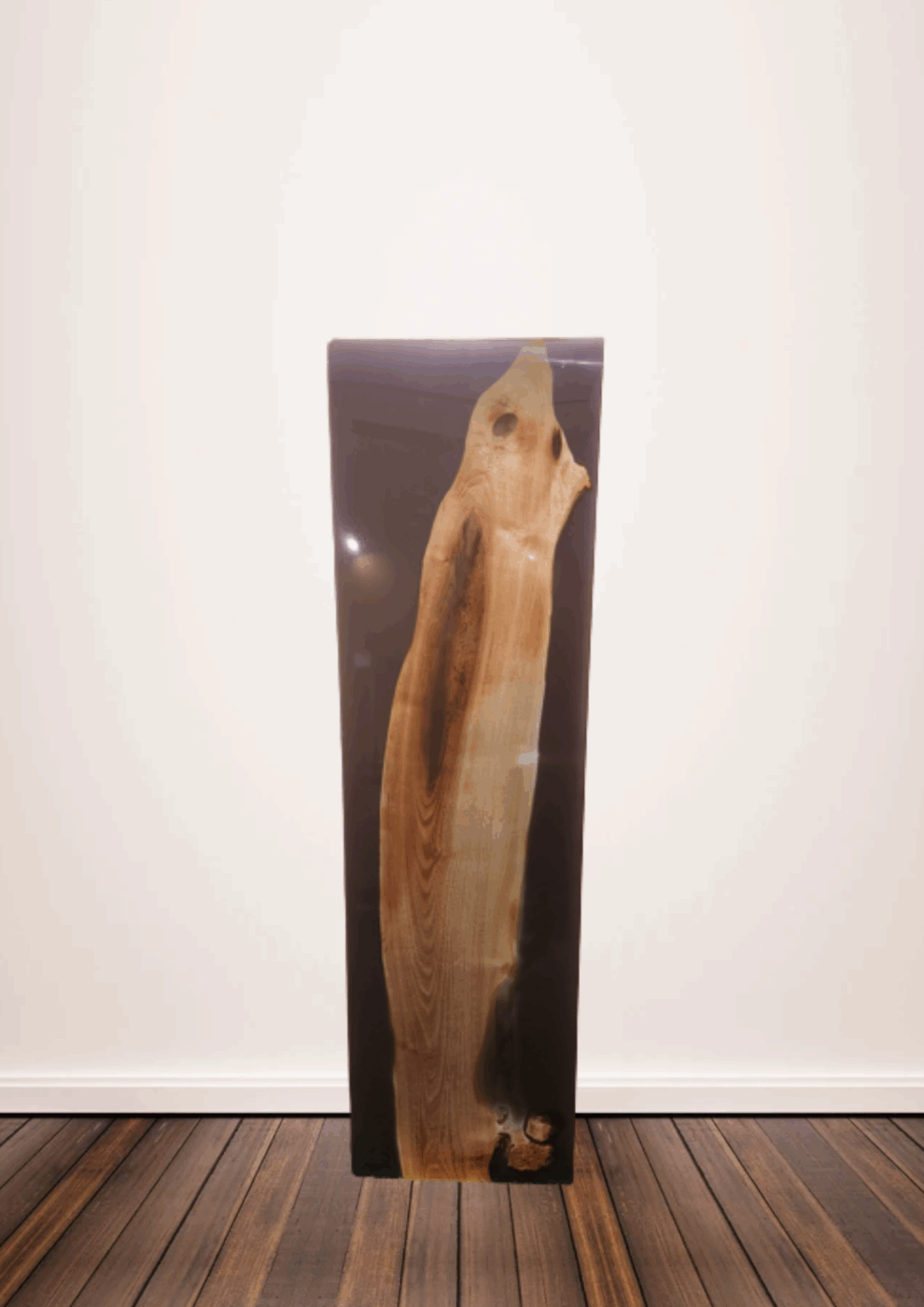 「静寂の魚影」