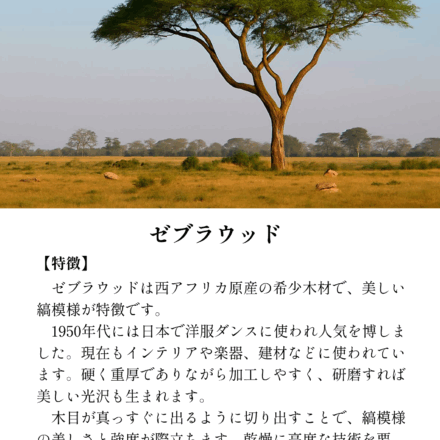 「鼓動のリズム」
