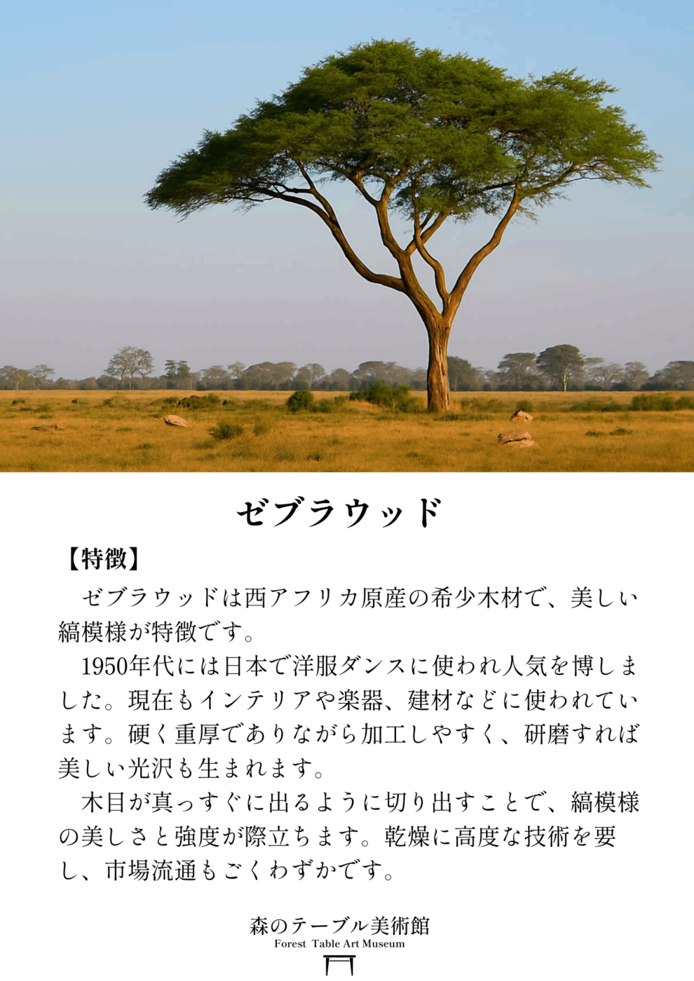「鼓動のリズム」