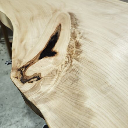 「光を結ぶ場所」