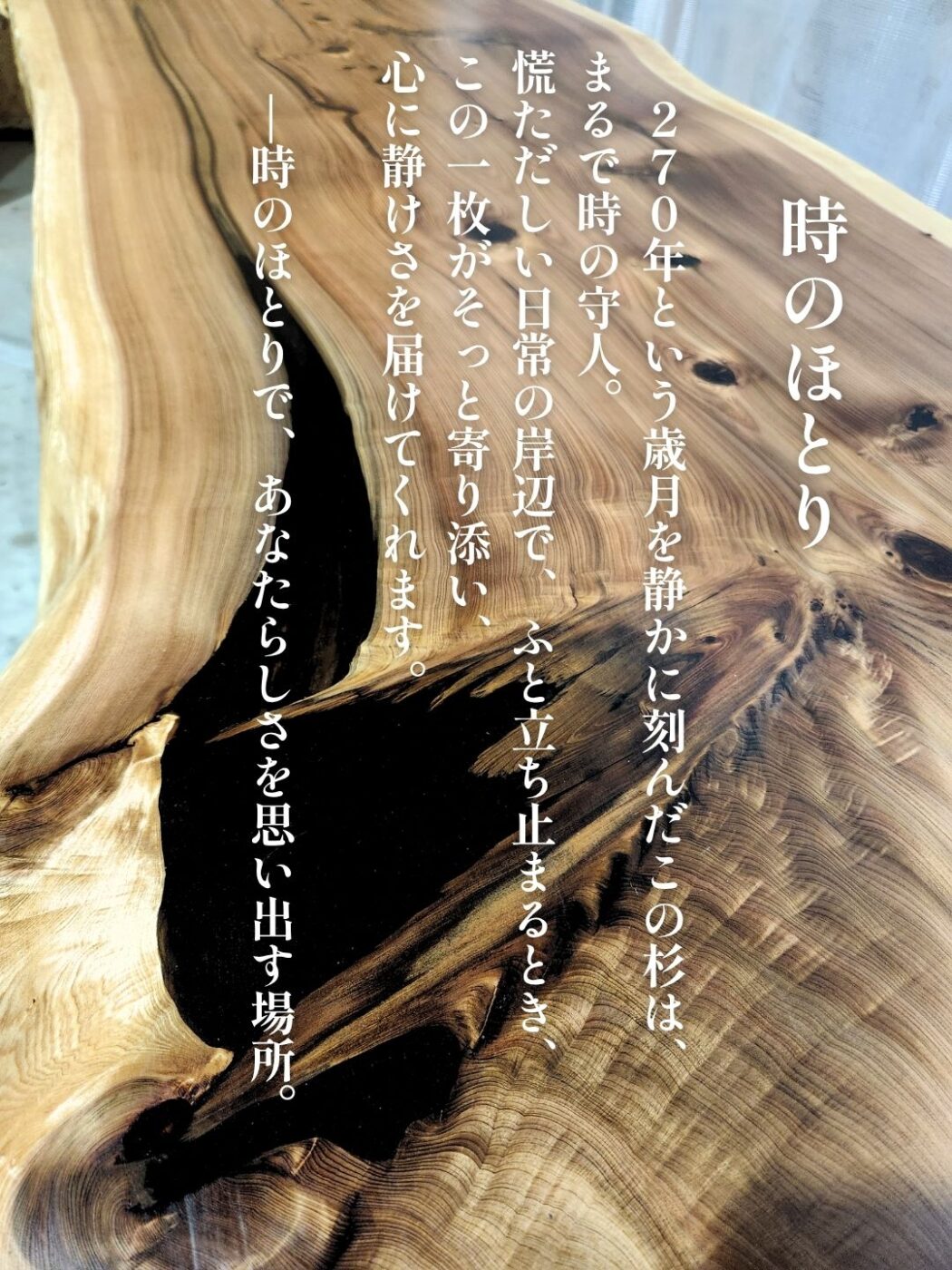 「時のほとり」