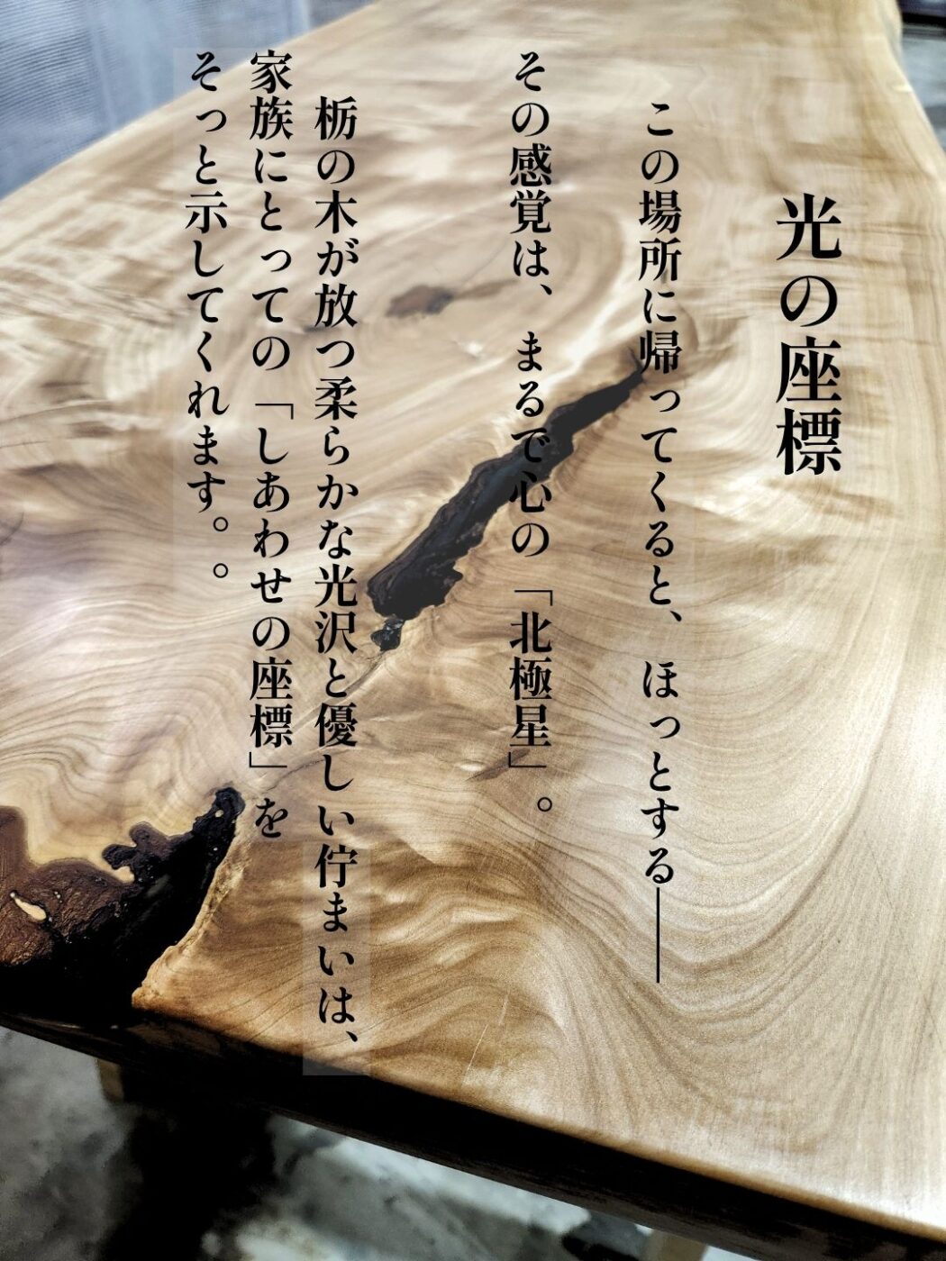 「光の座標」